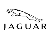 Jaguar Jaguar